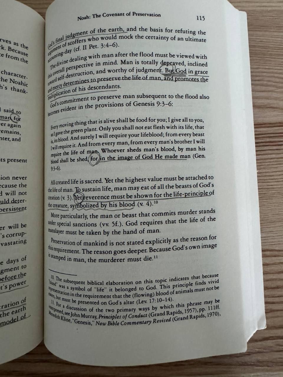 創世記15章の契約の場面を描いた書の一部。割かれた動物と火のしるしについて説明されている