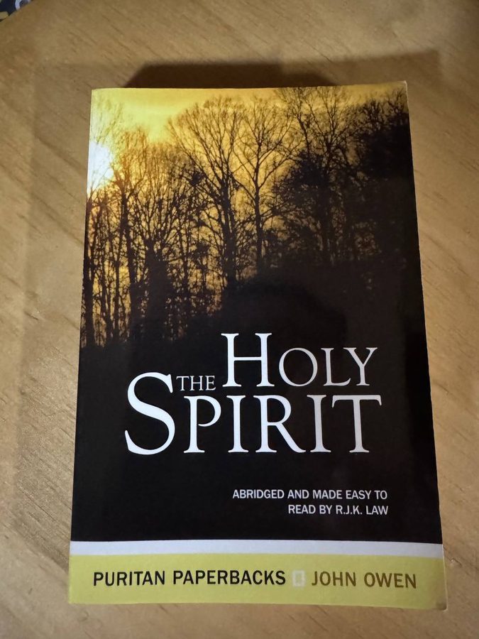 ジョン・オーウェン『The Holy Spirit』の表紙。冬の森を見上げた風景が背景にあり、白い大きな文字でタイトルが書かれている