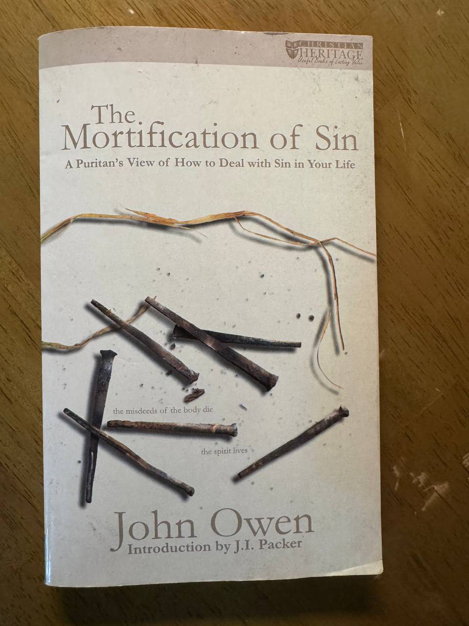 木のテーブルに置かれた洋書のペーパーバック。表紙には錆びた釘が散らばった写真と『The Mortification of Sin ― A Puritan’s View of How to Deal with Sin in Your Life』、著者 John Owen、Introduction by J.I. Packer と印刷されている