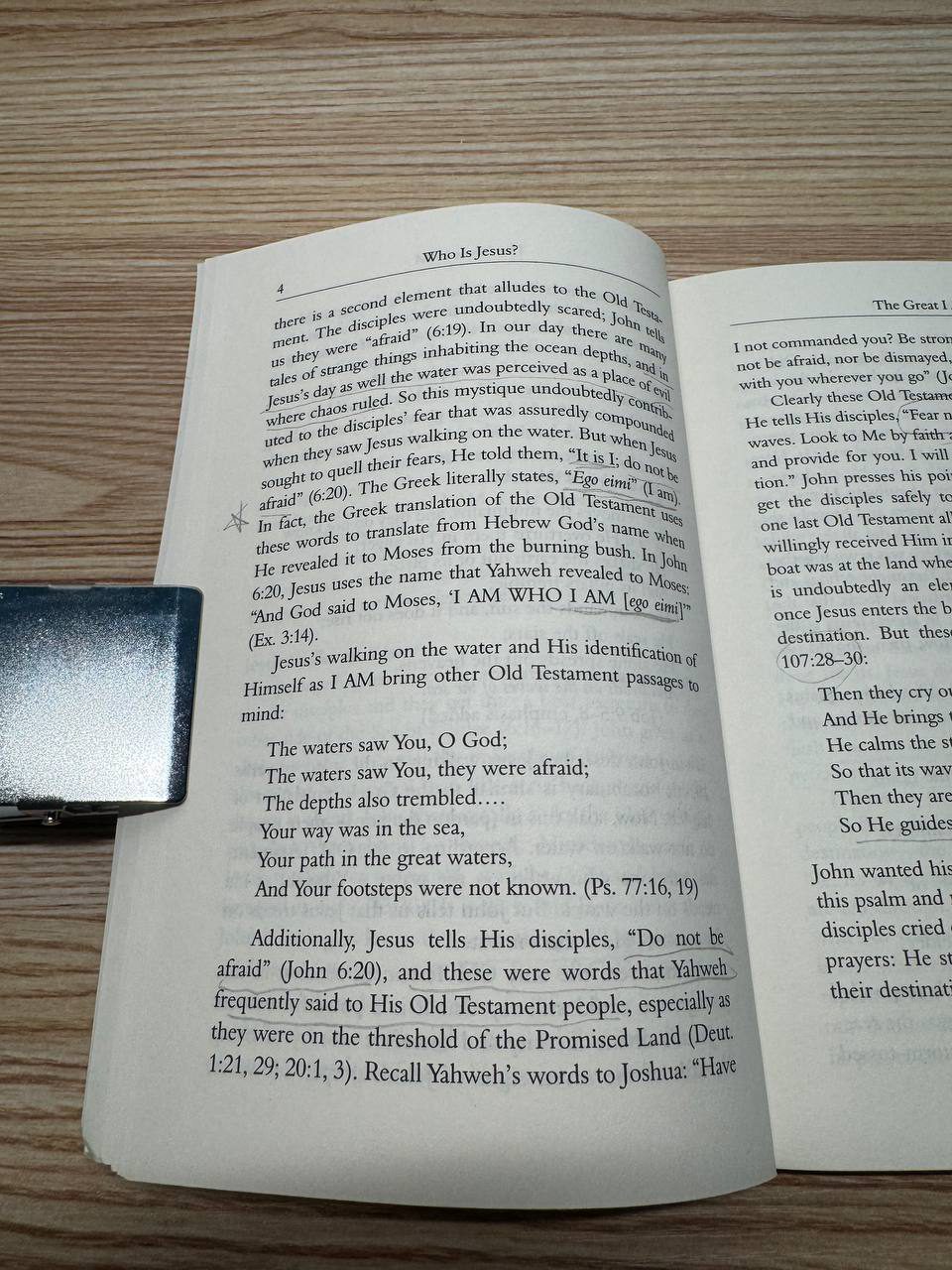 ヨハネ福音書の「大いなるわたしは」についての説明。神の神聖な名前の背景が詳しく説明されている